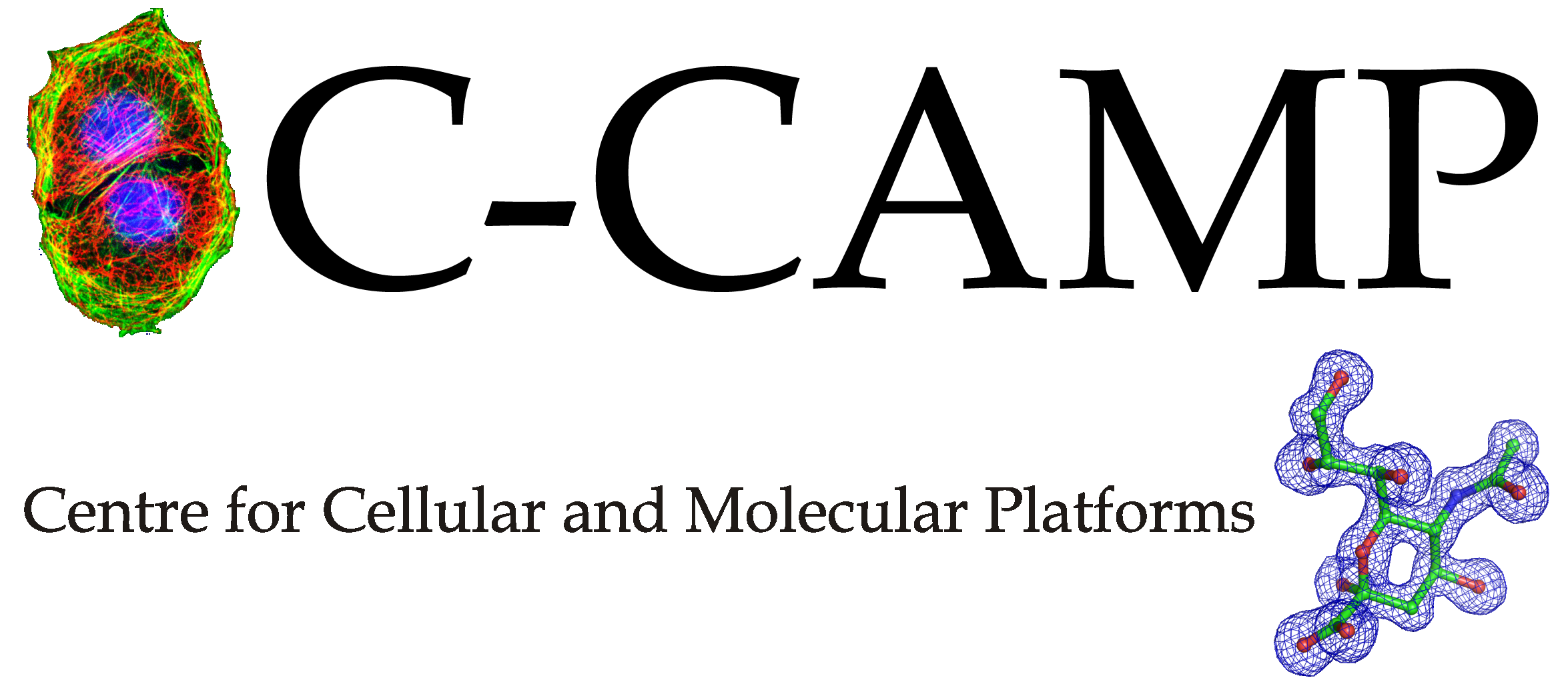 C-Camp Logo
